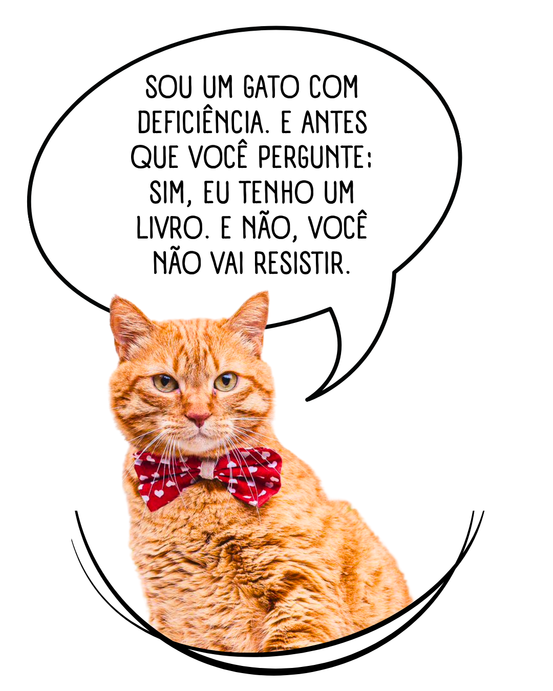 Oliver, gato ruivo com gravata borboleta, dizendo que tem um livro
